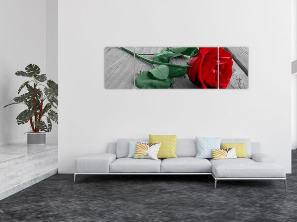 Obraz - Czerwona róża z zieloną łodygą (170x50 cm)