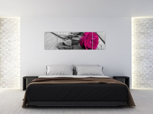 Obraz - Różowa róża (170x50 cm)