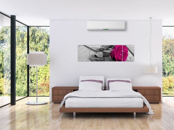 Obraz - Różowa róża (170x50 cm)