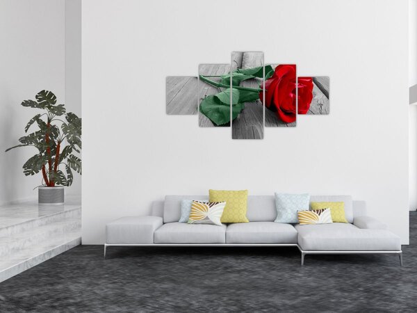 Obraz - Czerwona róża z zieloną łodygą (125x70 cm)