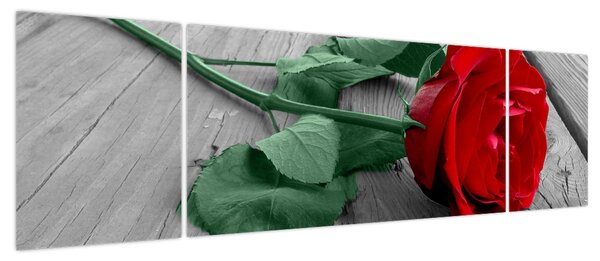 Obraz - Czerwona róża z zieloną łodygą (170x50 cm)
