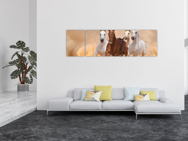 Obraz - Stado koni (170x50 cm)