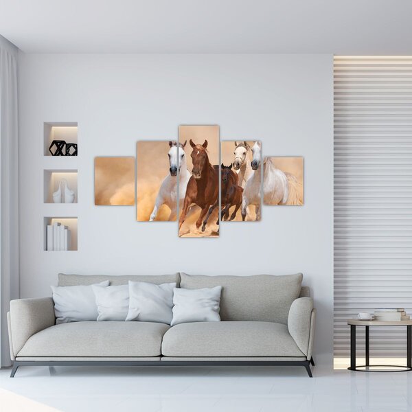 Obraz - Stado koni (125x70 cm)