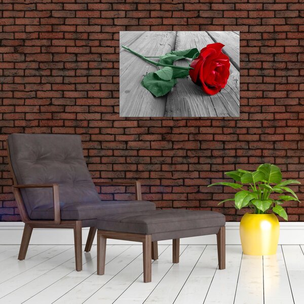 Obraz - Czerwona róża z zieloną łodygą (70x50 cm)