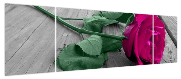 Obraz - Różowa róża z zieloną łodygą (170x50 cm)
