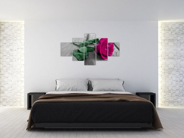 Obraz - Różowa róża z zieloną łodygą (125x70 cm)