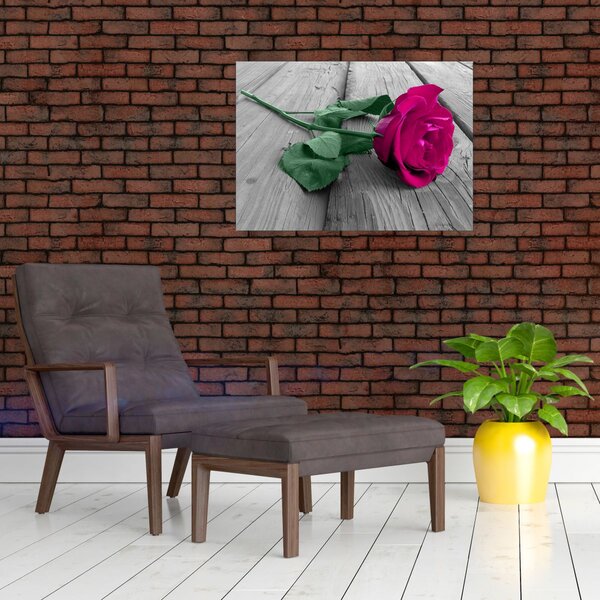 Obraz - Różowa róża z zieloną łodygą (70x50 cm)