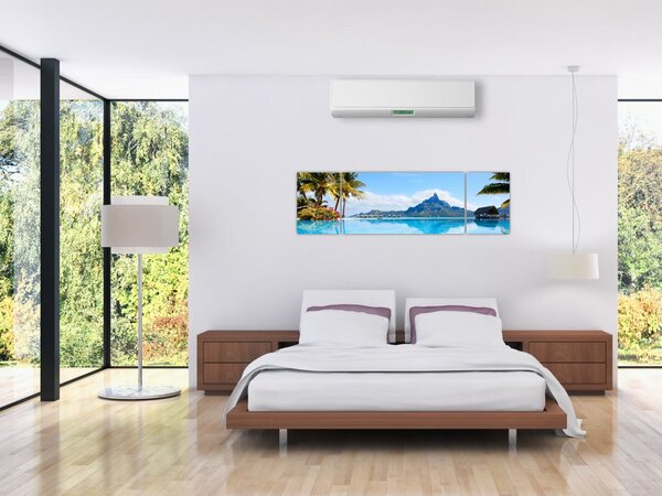 Obraz - Palmy i plaże (170x50 cm)