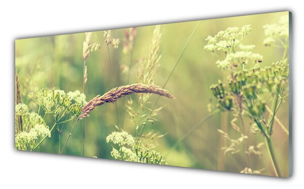 Obraz Szklany Dzikie Rośliny Natura