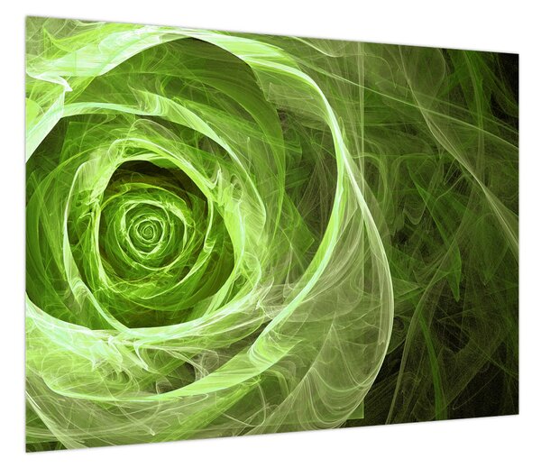 Obraz - Abstrakcyjny zielony róż (70x50 cm)