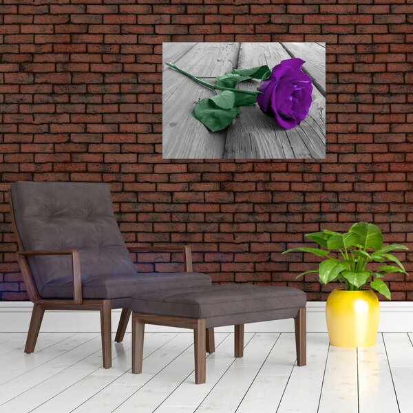 Obraz - Fioletowa róża z zieloną łodygą (70x50 cm)
