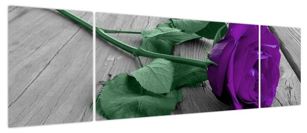 Obraz - Fioletowa róża z zieloną łodygą (170x50 cm)