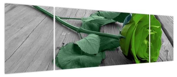 Obraz - Zielona róża (170x50 cm)