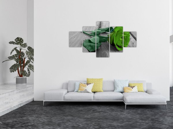 Obraz - Zielona róża (125x70 cm)