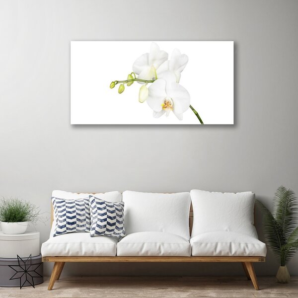 Obraz Szklany Orchidea Kwiaty Natura