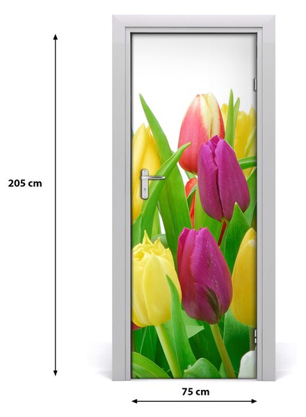Nalepka Naklejka fototapeta na drzwi Kwiaty tulipany