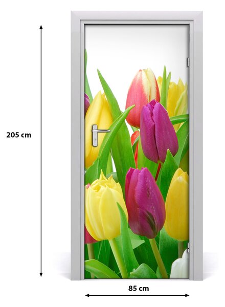 Nalepka Naklejka fototapeta na drzwi Kwiaty tulipany