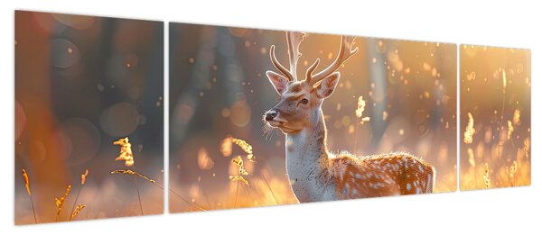 Obraz - Jeleń na polu (170x50 cm)