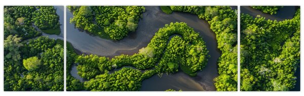 Obraz - Krajobraz leśny z rzeką (170x50 cm)