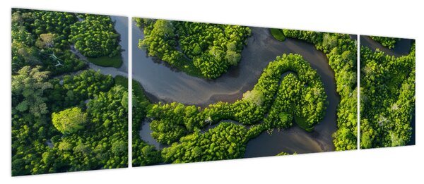 Obraz - Krajobraz leśny z rzeką (170x50 cm)