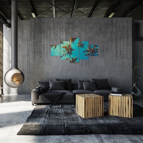 Obraz - Wysokie palmy (125x70 cm)