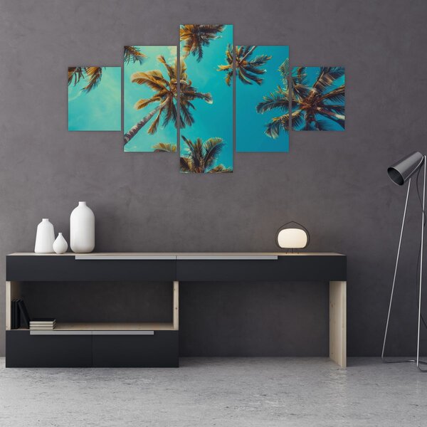 Obraz - Wysokie palmy (125x70 cm)