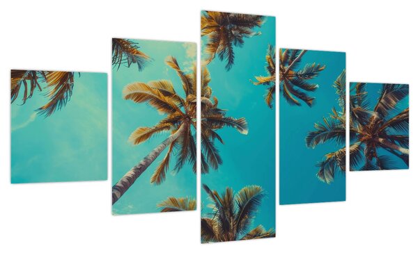 Obraz - Wysokie palmy (125x70 cm)