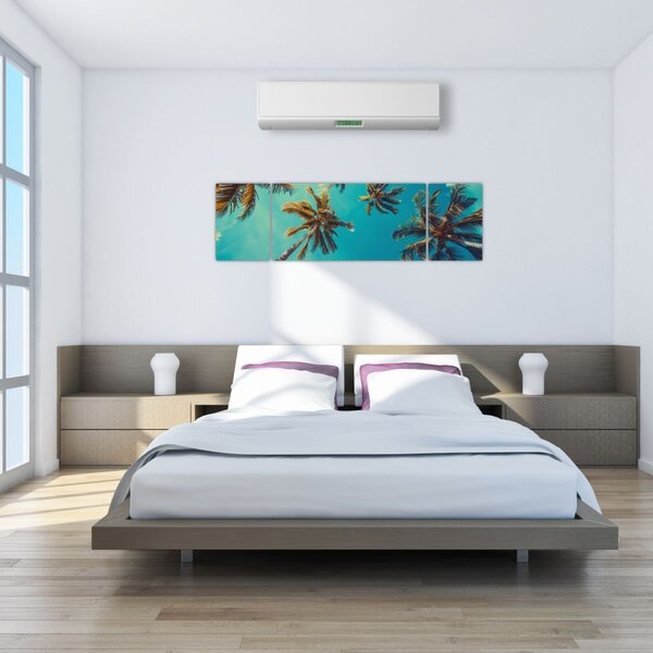 Obraz - Wysokie palmy (170x50 cm)