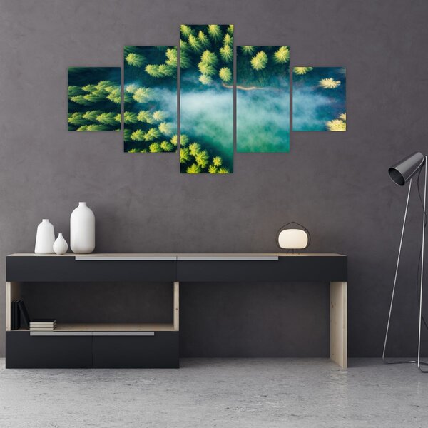Obraz - Las spowity mgłą (125x70 cm)