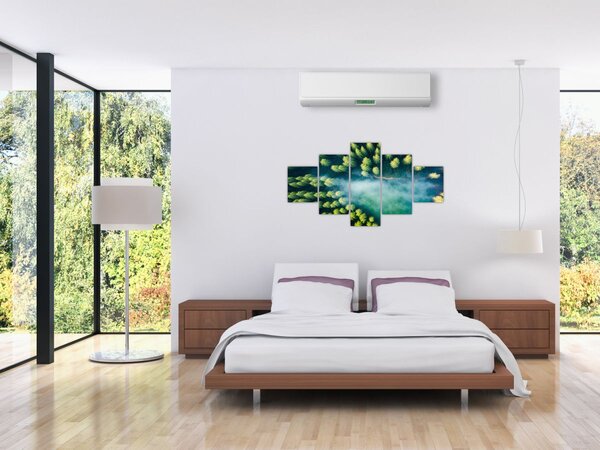 Obraz - Las spowity mgłą (125x70 cm)