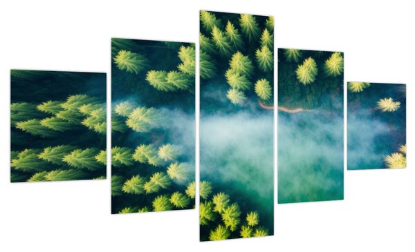 Obraz - Las spowity mgłą (125x70 cm)