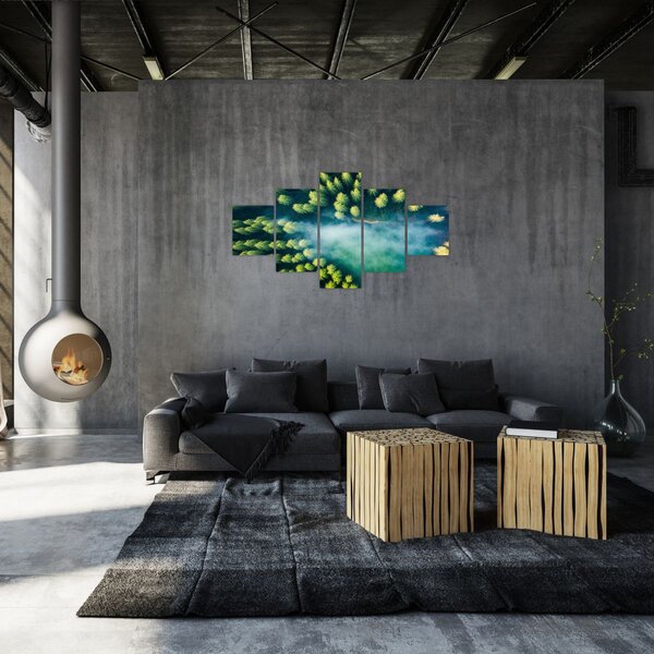 Obraz - Las spowity mgłą (125x70 cm)