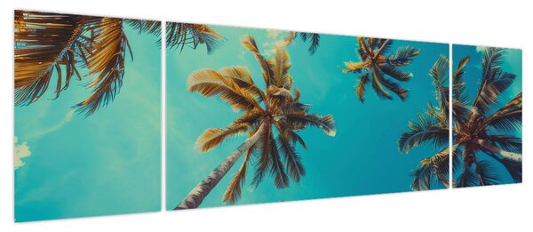 Obraz - Wysokie palmy (170x50 cm)