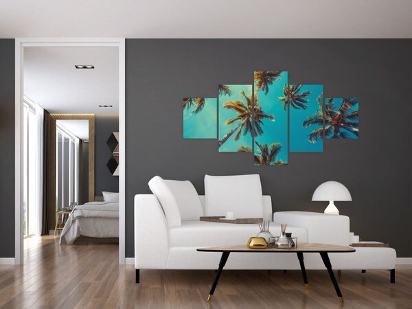 Obraz - Wysokie palmy (125x70 cm)