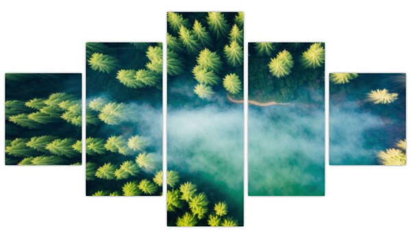 Obraz - Las spowity mgłą (125x70 cm)
