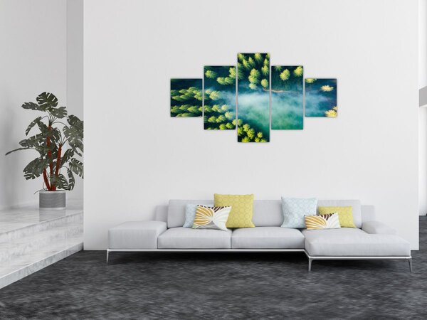 Obraz - Las spowity mgłą (125x70 cm)
