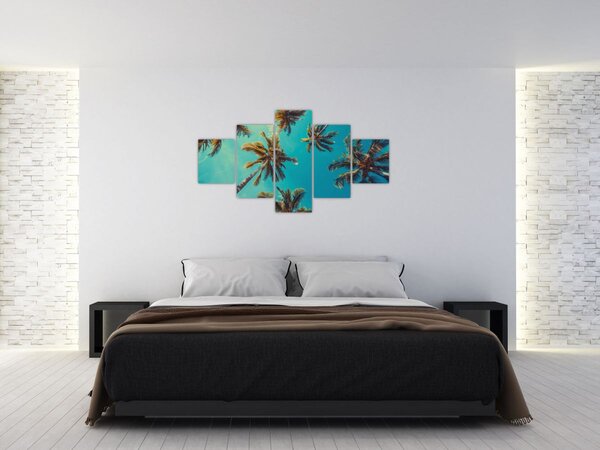Obraz - Wysokie palmy (125x70 cm)