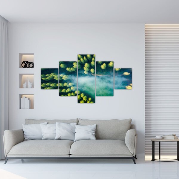 Obraz - Las spowity mgłą (125x70 cm)