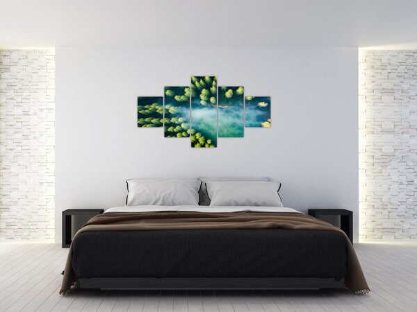 Obraz - Las spowity mgłą (125x70 cm)