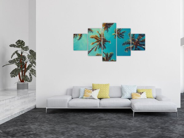 Obraz - Wysokie palmy (125x70 cm)