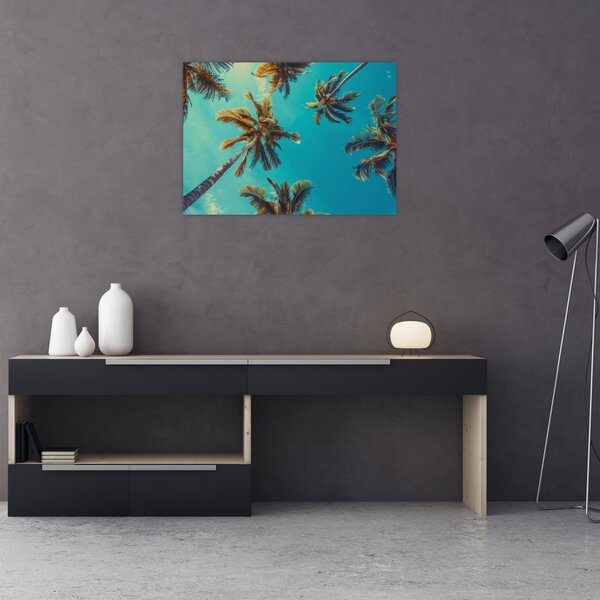 Obraz - Wysokie palmy (70x50 cm)