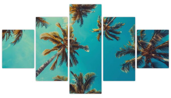 Obraz - Wysokie palmy (125x70 cm)