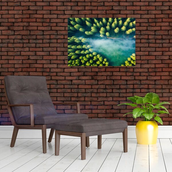 Obraz - Las spowity mgłą (70x50 cm)