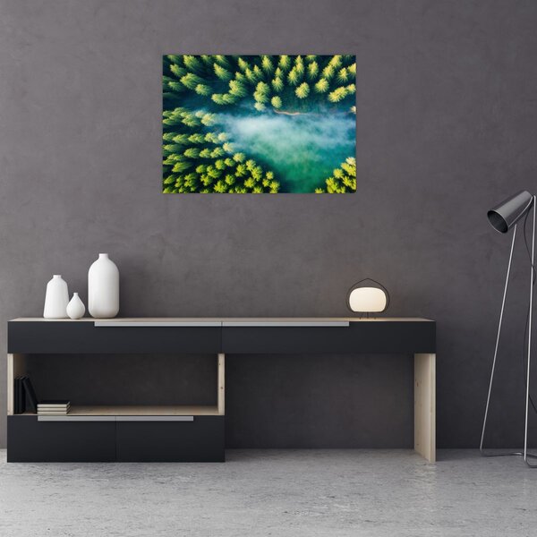 Obraz - Las spowity mgłą (70x50 cm)