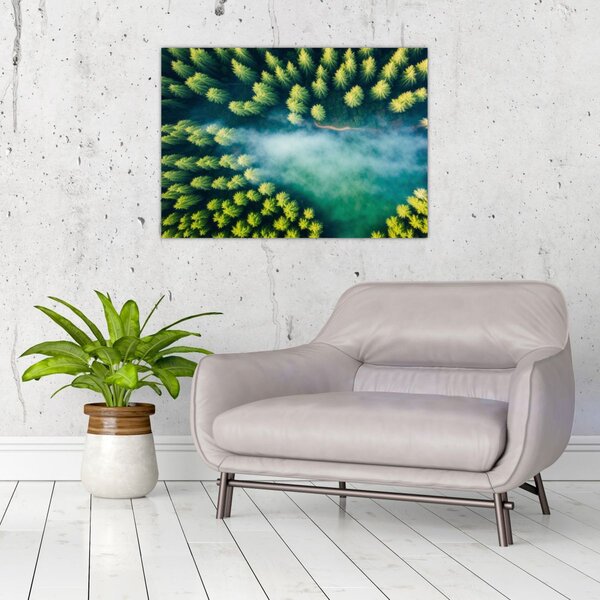 Obraz - Las spowity mgłą (70x50 cm)