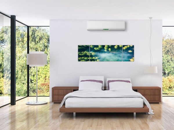 Obraz - Las spowity mgłą (170x50 cm)