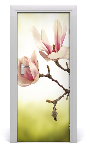 Naklejka samoprzylepna okleina Kwiaty magnolii