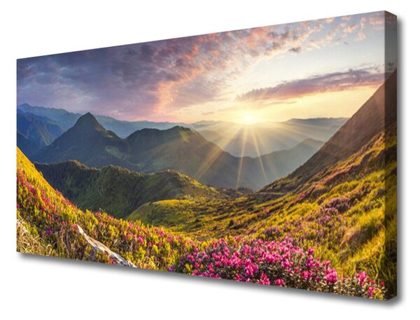 Obraz Canvas Góra Łąka Słońce Krajobraz