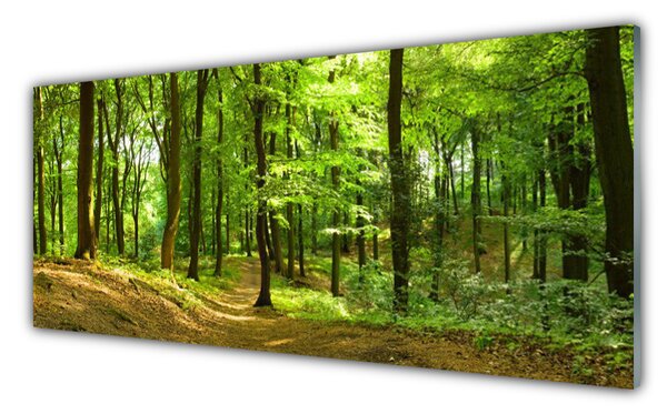 Obraz na Szkle Las Ścieżka Natura