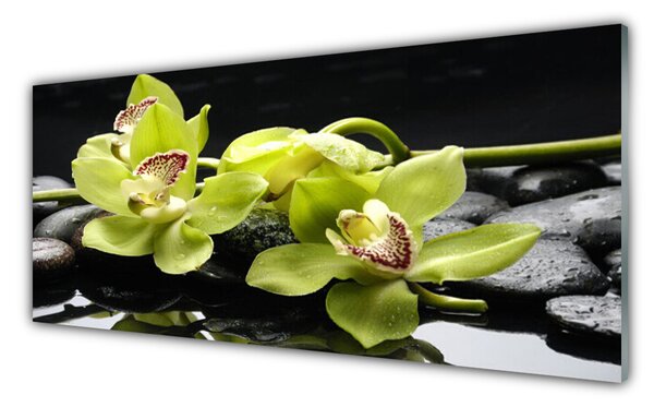 Obraz Szklany Kwiat Orchidea Roślina